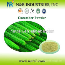 Herbal Powder Supplier Cucumber Powder